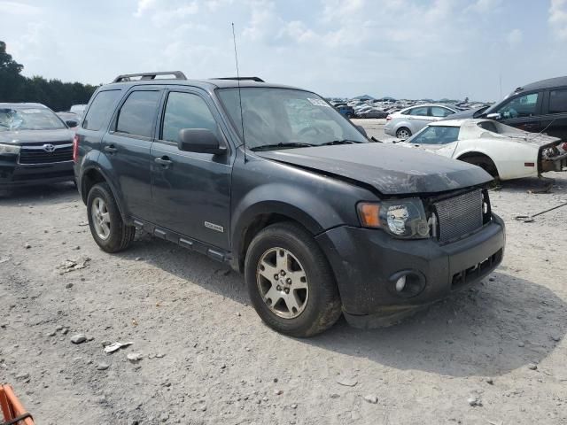 2008 Ford Escape XLT