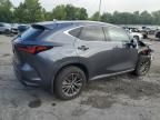 2023 Lexus NX 350H