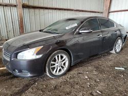 Salvage cars for sale from Copart Houston, TX: 2010 Nissan Maxima S