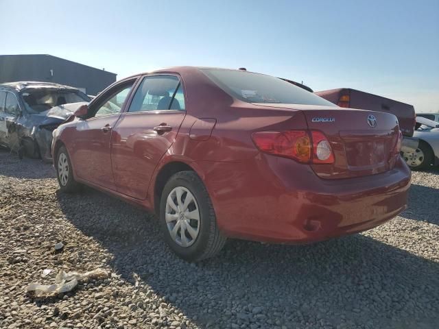 2010 Toyota Corolla Base