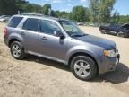 2010 Ford Escape Limited