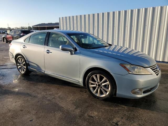 2010 Lexus ES 350