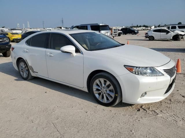 2014 Lexus ES 300H