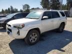 2017 Toyota 4runner SR5/SR5 Premium