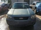 2006 Ford Escape XLT