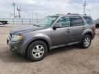 2010 Ford Escape Limited