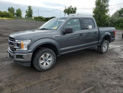 Salvage cars for sale at Montreal Est, QC auction: 2019 Ford F150 Supercrew