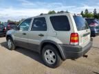 2004 Ford Escape XLT