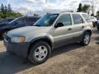 2004 Ford Escape XLT