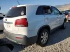 2011 KIA Sorento Base