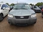 2007 Ford Escape XLS