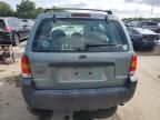 2007 Ford Escape XLS