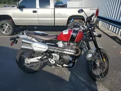 Salvage motorcycles for sale at Lebanon, TN auction: 2023 Triumph Scrambler 1200 XC