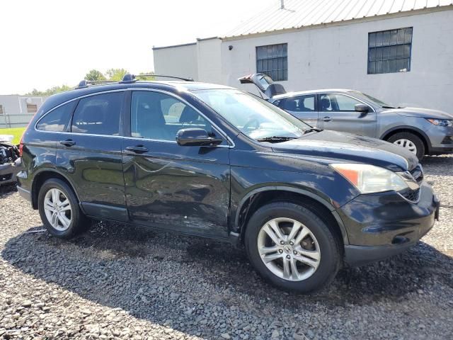 2010 Honda CR-V EXL