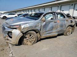 Salvage cars for sale at Louisville, KY auction: 2020 Hyundai Santa FE SE