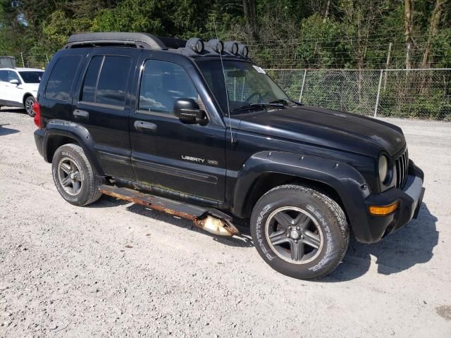 2003 Jeep Liberty Renegade