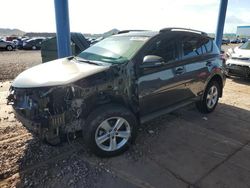 Salvage cars for sale at Phoenix, AZ auction: 2014 Toyota Rav4 XLE