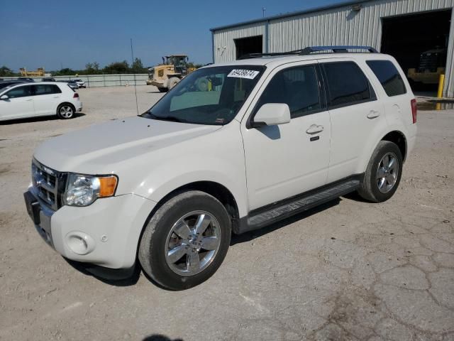 2011 Ford Escape Limited