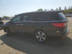 2019 Honda Odyssey EXL