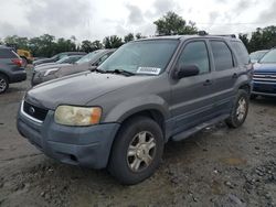 Ford Escape XLT salvage cars for sale: 2003 Ford Escape XLT