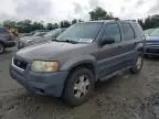 2003 Ford Escape XLT