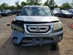 2009 Honda Pilot EXL