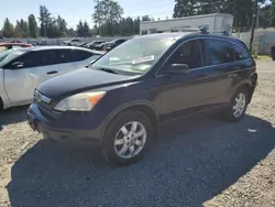 Salvage cars for sale at Graham, WA auction: 2009 Honda CR-V EXL