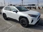 2024 Toyota Rav4 SE