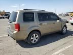 2011 Honda Pilot EXL