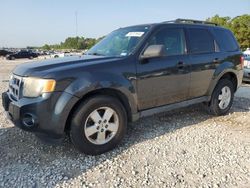 Salvage cars for sale from Copart Houston, TX: 2009 Ford Escape XLT