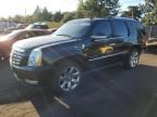 2011 Cadillac Escalade Premium