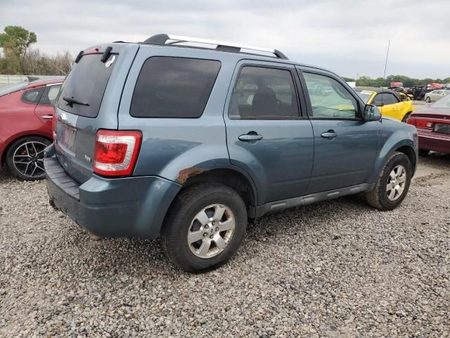 2010 Ford Escape Limited