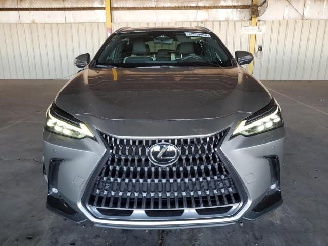 2024 Lexus NX 350 Luxury