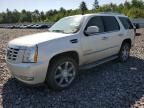 2007 Cadillac Escalade Luxury