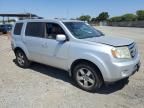 2009 Honda Pilot EXL