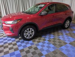 Ford salvage cars for sale: 2023 Ford Escape Active