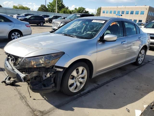 2010 Honda Accord EXL