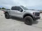 2023 Ford F150 Raptor