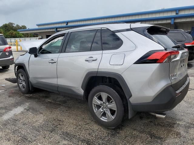 2024 Toyota Rav4 XLE