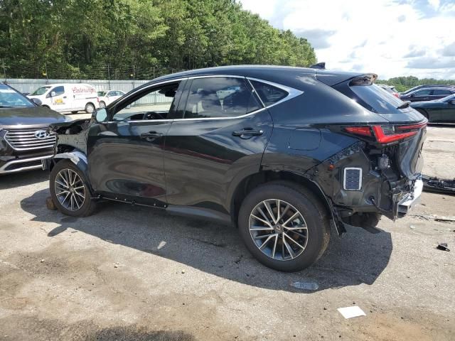 2024 Lexus NX 350H Base