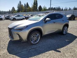 Salvage cars for sale at Graham, WA auction: 2024 Lexus NX 350 Luxury