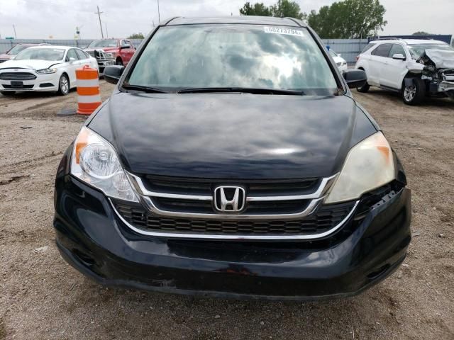 2010 Honda CR-V EXL