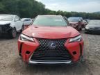 2020 Lexus UX 250H