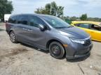 2024 Honda Odyssey EXL