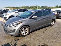 Salvage cars for sale at Louisville, KY auction: 2014 Hyundai Elantra SE