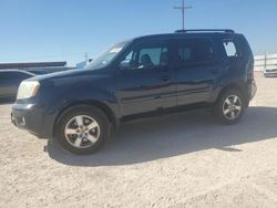 Salvage cars for sale at Andrews, TX auction: 2011 Honda Pilot EXL