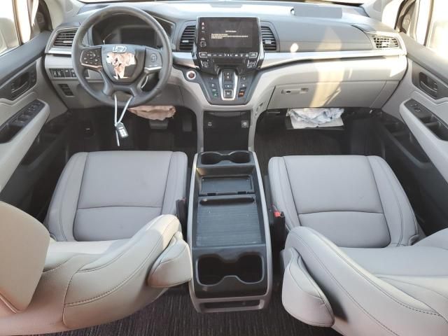 2024 Honda Odyssey EXL