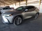 2024 Lexus NX 350 Luxury