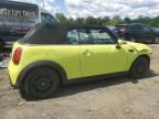 2024 Mini Cooper