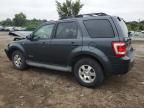 2008 Ford Escape Limited